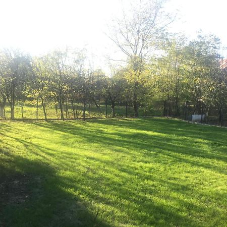 Green Nest Băneşti Εξωτερικό φωτογραφία